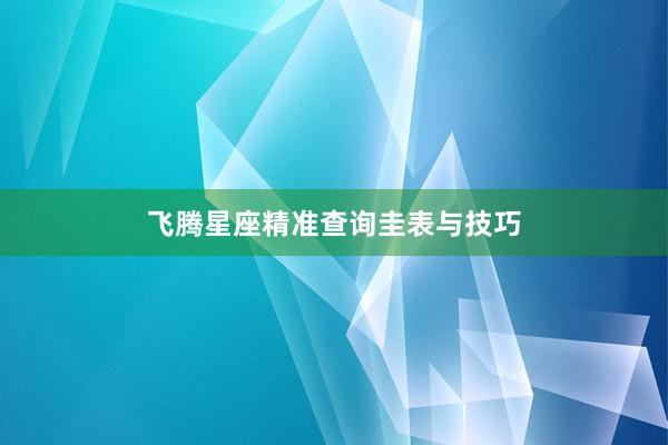 飞腾星座精准查询圭表与技巧